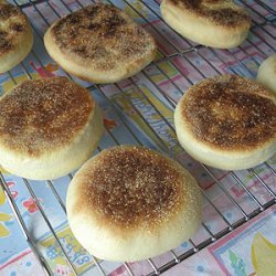 Homemade English Muffins