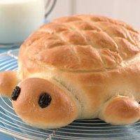 Turtle Bread