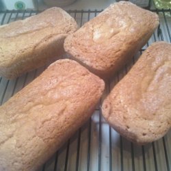 Amish Friendship Starter And Bread