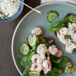 Shrimp and Cucumber Salad with Horseradish Mayo