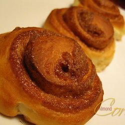 Cinnamon Snails