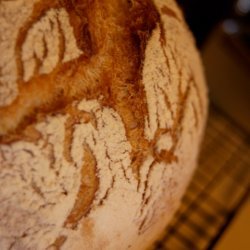 No-knead Bread