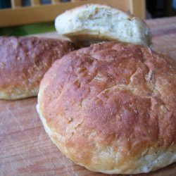 Potato Rosemary Rolls