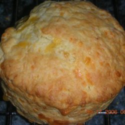 Golden Cheddar Cheese Scones