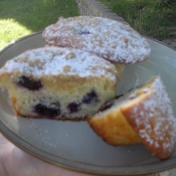 Very Blueberry Muffins