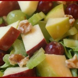 Wonderful And Yummy Waldorf Salad With A Twist