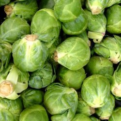 Marinated Brussels Sprouts