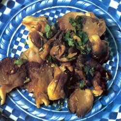 Wild Mushroom Salad