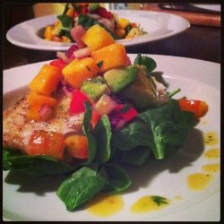 Grilled Halibut & Fresh Mango Salsa Salad