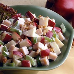 Waldorf Swiss And Turkey Salad