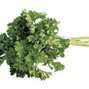 Parsley Salad