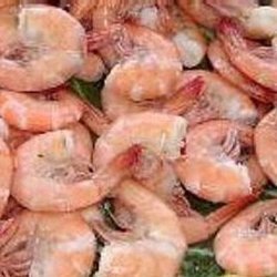 Shrimp Salad