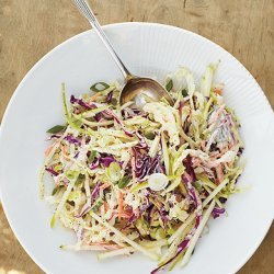 Coleslaw with Apple and Yogurt Dressing