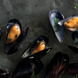 Steamed Mussels in White Wine