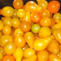 Cherry Tomato Spinach Salad