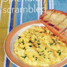 Splendidly Scrambled