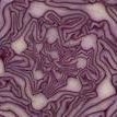 Red Cabbage