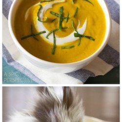 Creamy Carrot Soup