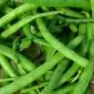 Green Beans----diet Style