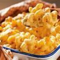 Shrimp And Macroni N' Cheese