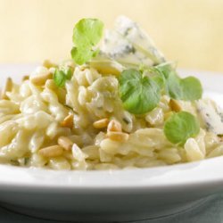 Orzo Risotto