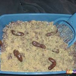 Kitty Litter Cake