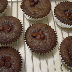 Chocolate Cupcakes