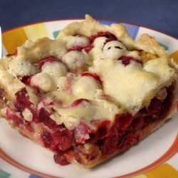 Cranberry Squares