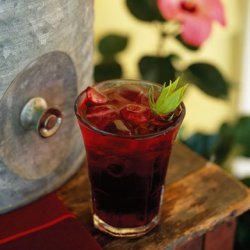 Hibiscus Punch