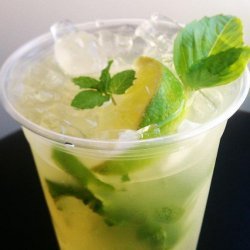 Basil Lime Spritzer