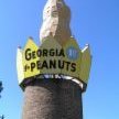 Georgia Peanut Cake