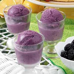 Blackberry Frozen Yogurt