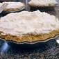 Coconut Cream Pie