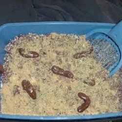 Kitty Litter Cake