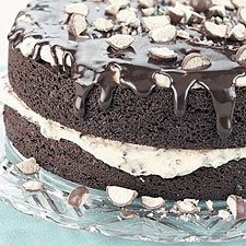 Chocolate Malt Cake  With Fudge Glaze