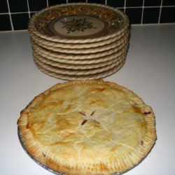 Blackberry Chocolate Chip Pie W Buttery Crust