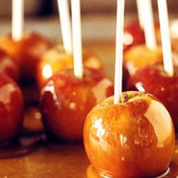 Caramel Apples