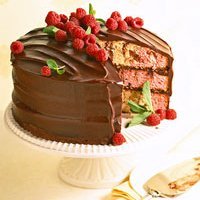 Marbled Chocolate-raspberry Cake