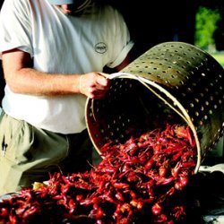 Link Family Crawfish Boil