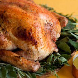 Herb Roasted Turkey