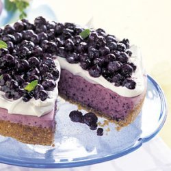 No-Bake Blueberry Cheesecake with Graham Cracker Crust