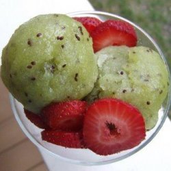 Strawberry - Kiwi Sorbet