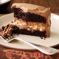 Crunchy Chocolate Peanut Butter Cake