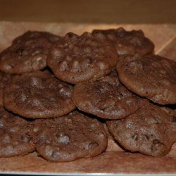 Chocolate Chocolate Chip Cookies