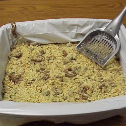 Litter Box Cake