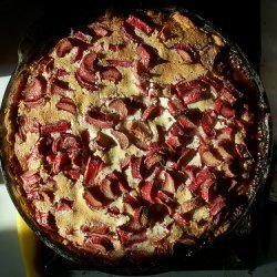 Rhubarb Custard Pie