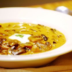 Hungarian Mushroom Soup