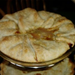 Buffalo Stew With Frybread Crust