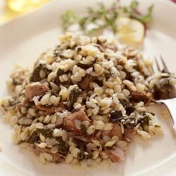 Aegean Lamb with Orzo