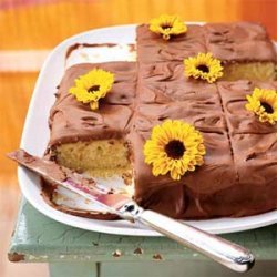 Yellow Sheet Cake with Chocolate Frosting